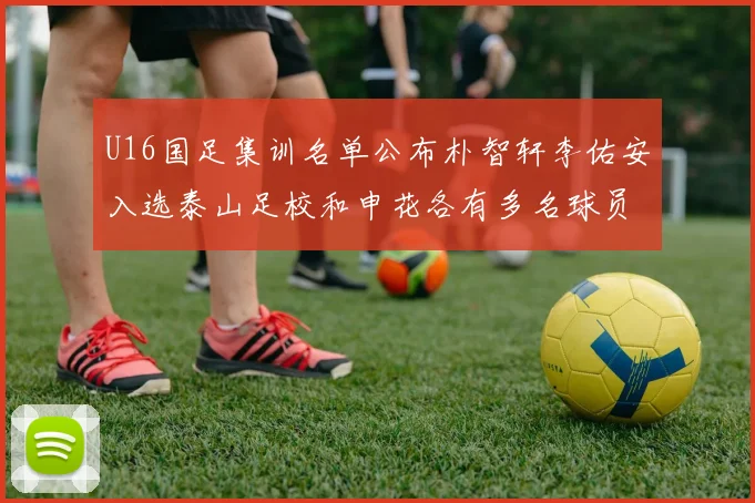 U16国足集训名单公布朴智轩李佑安入选泰山足校和申花各有多名球员参与