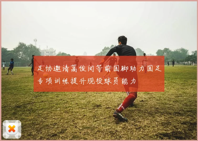 足协邀请蒿俊闵等前国脚助力国足专项训练提升现役球员能力