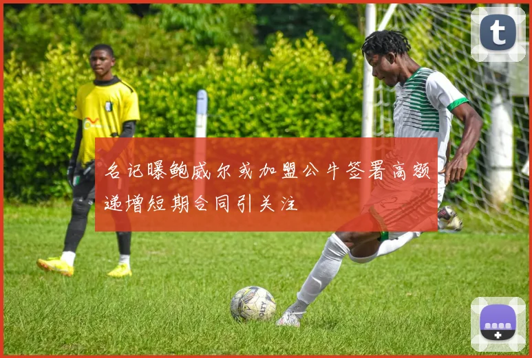 名记曝鲍威尔或加盟公牛签署高额递增短期合同引关注